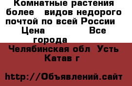 Комнатные растения более200видов недорого почтой по всей России › Цена ­ 100-500 - Все города  »    . Челябинская обл.,Усть-Катав г.